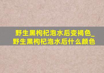 野生黑枸杞泡水后变褐色_野生黑枸杞泡水后什么颜色