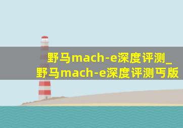 野马mach-e深度评测_野马mach-e深度评测丐版