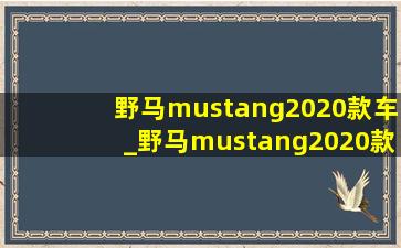 野马mustang2020款车_野马mustang2020款车头有变化吗