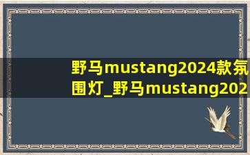 野马mustang2024款氛围灯_野马mustang2024款2.3上市