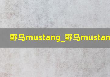 野马mustang_野马mustang电动