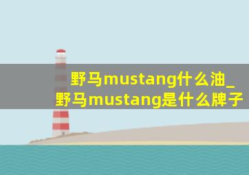 野马mustang什么油_野马mustang是什么牌子