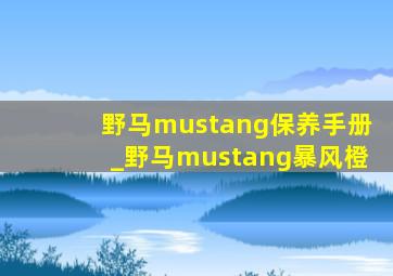 野马mustang保养手册_野马mustang暴风橙