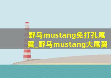 野马mustang免打孔尾翼_野马mustang大尾翼