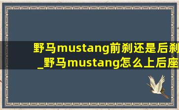 野马mustang前刹还是后刹_野马mustang怎么上后座