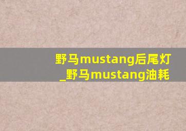 野马mustang后尾灯_野马mustang油耗