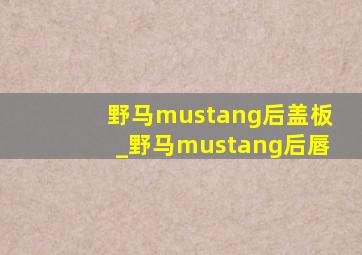 野马mustang后盖板_野马mustang后唇