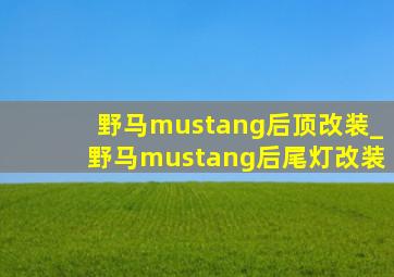 野马mustang后顶改装_野马mustang后尾灯改装