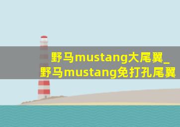 野马mustang大尾翼_野马mustang免打孔尾翼