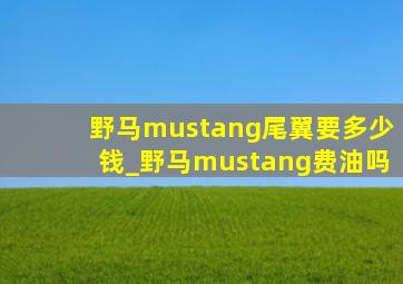 野马mustang尾翼要多少钱_野马mustang费油吗