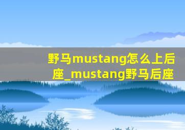 野马mustang怎么上后座_mustang野马后座