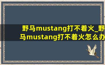 野马mustang打不着火_野马mustang打不着火怎么办