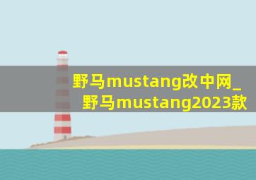 野马mustang改中网_野马mustang2023款