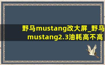 野马mustang改大屏_野马mustang2.3油耗高不高