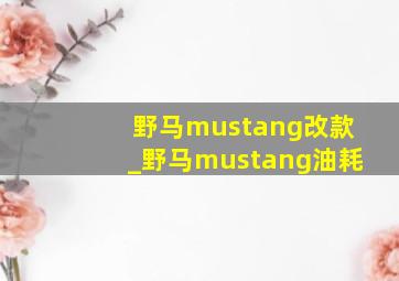 野马mustang改款_野马mustang油耗