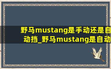 野马mustang是手动还是自动挡_野马mustang是自动挡还是手动挡