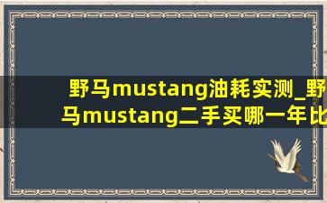 野马mustang油耗实测_野马mustang二手买哪一年比较好