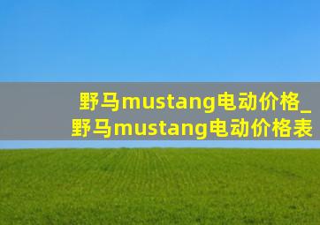 野马mustang电动价格_野马mustang电动价格表