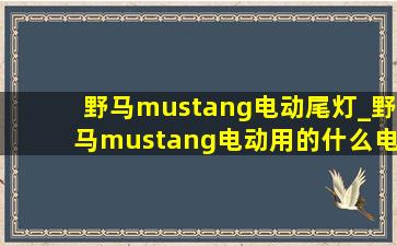 野马mustang电动尾灯_野马mustang电动用的什么电池