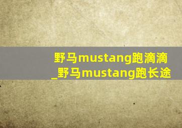 野马mustang跑滴滴_野马mustang跑长途