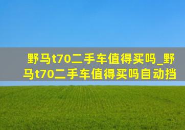 野马t70二手车值得买吗_野马t70二手车值得买吗自动挡