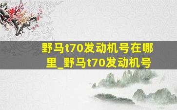 野马t70发动机号在哪里_野马t70发动机号