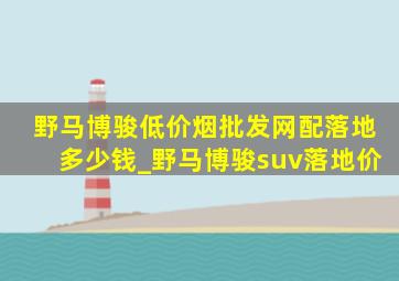 野马博骏(低价烟批发网)配落地多少钱_野马博骏suv落地价