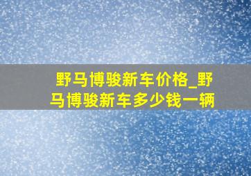 野马博骏新车价格_野马博骏新车多少钱一辆