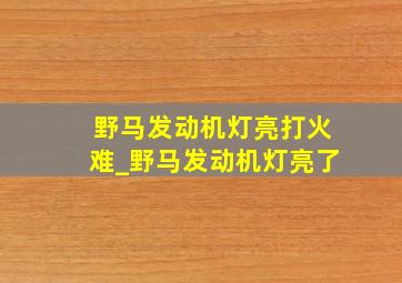 野马发动机灯亮打火难_野马发动机灯亮了