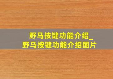 野马按键功能介绍_野马按键功能介绍图片