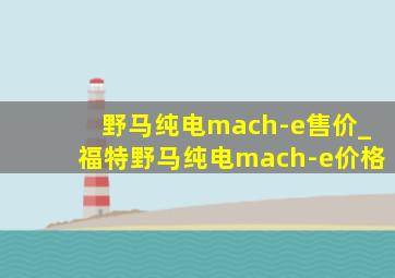 野马纯电mach-e售价_福特野马纯电mach-e价格