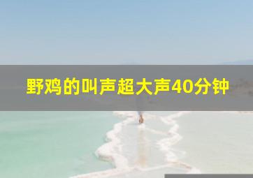 野鸡的叫声超大声40分钟