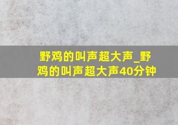 野鸡的叫声超大声_野鸡的叫声超大声40分钟