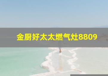 金厨好太太燃气灶8809