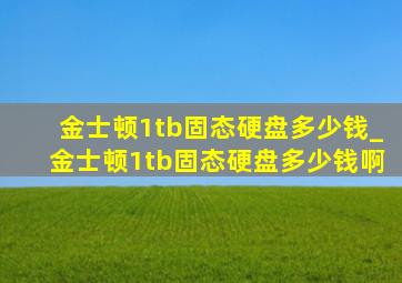 金士顿1tb固态硬盘多少钱_金士顿1tb固态硬盘多少钱啊