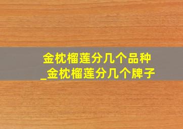 金枕榴莲分几个品种_金枕榴莲分几个牌子