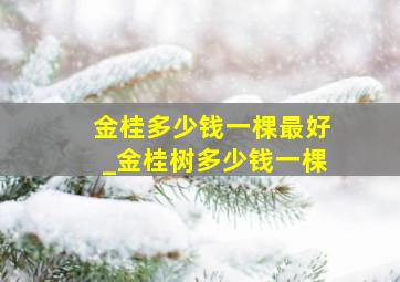 金桂多少钱一棵最好_金桂树多少钱一棵