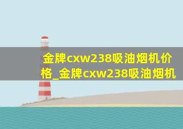 金牌cxw238吸油烟机价格_金牌cxw238吸油烟机