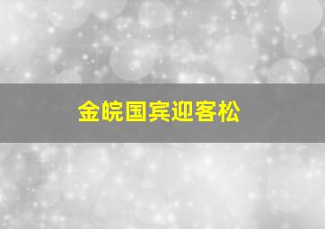 金皖国宾迎客松