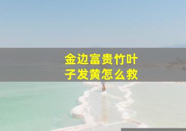 金边富贵竹叶子发黄怎么救