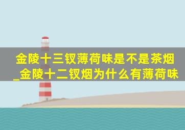 金陵十三钗薄荷味是不是茶烟_金陵十二钗烟为什么有薄荷味