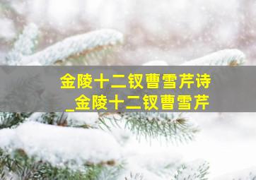 金陵十二钗曹雪芹诗_金陵十二钗曹雪芹