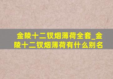 金陵十二钗烟薄荷全套_金陵十二钗烟薄荷有什么别名