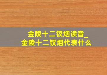 金陵十二钗烟读音_金陵十二钗烟代表什么