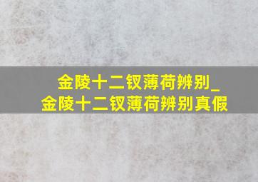 金陵十二钗薄荷辨别_金陵十二钗薄荷辨别真假