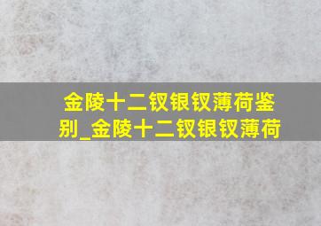 金陵十二钗银钗薄荷鉴别_金陵十二钗银钗薄荷