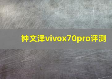 钟文泽vivox70pro评测