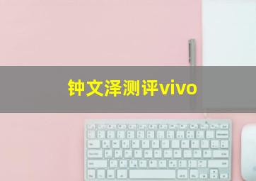 钟文泽测评vivo