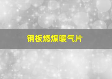 钢板燃煤暖气片