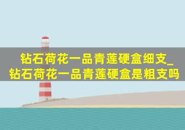 钻石荷花一品青莲硬盒细支_钻石荷花一品青莲硬盒是粗支吗